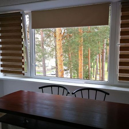 Light One Room Apartment Visaginas Εξωτερικό φωτογραφία