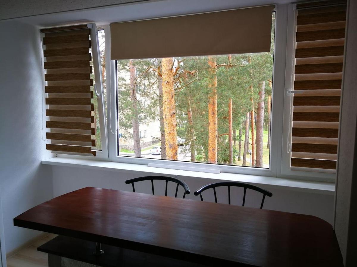 Light One Room Apartment Visaginas Εξωτερικό φωτογραφία