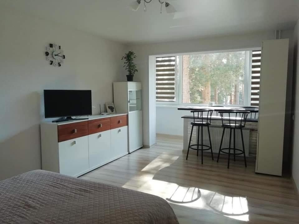 Light One Room Apartment Visaginas Εξωτερικό φωτογραφία