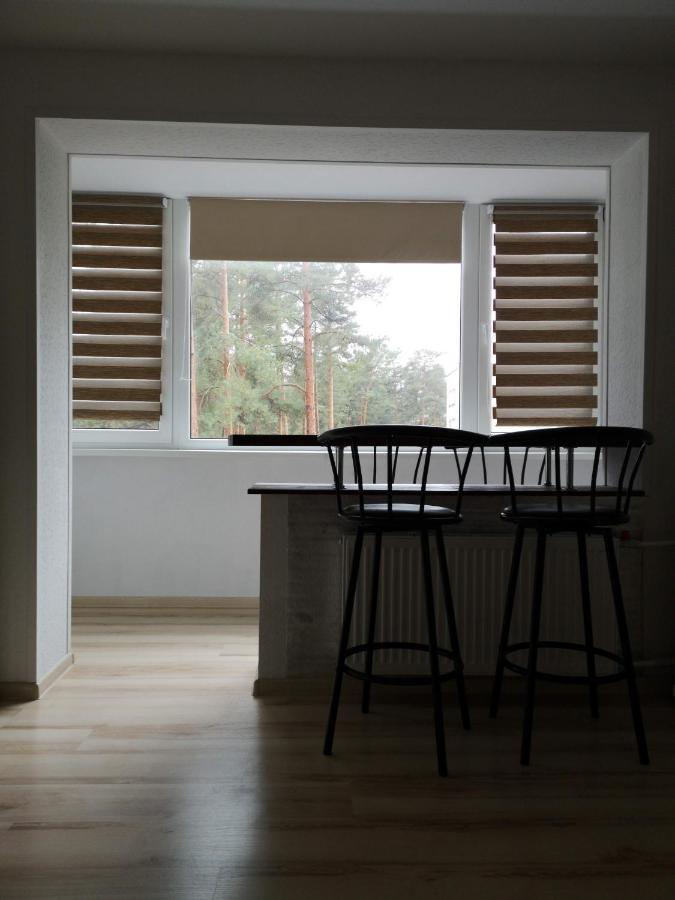 Light One Room Apartment Visaginas Εξωτερικό φωτογραφία
